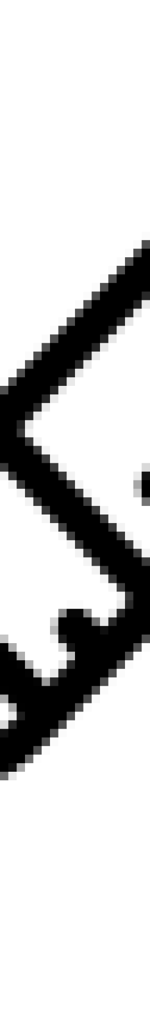 slaugytoja